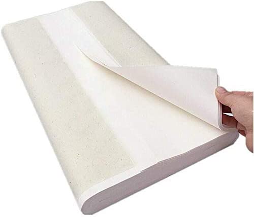 100 Pieces Sheng Xuan Rice Paper